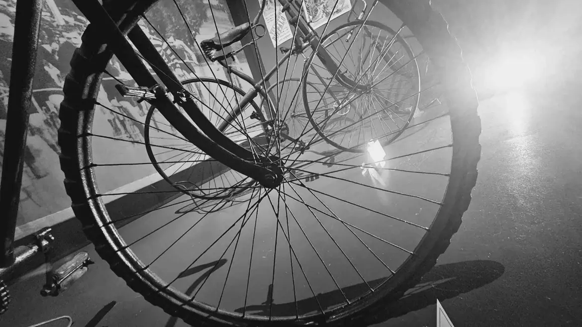 366365102_807105314248368_9177242888789583179_n