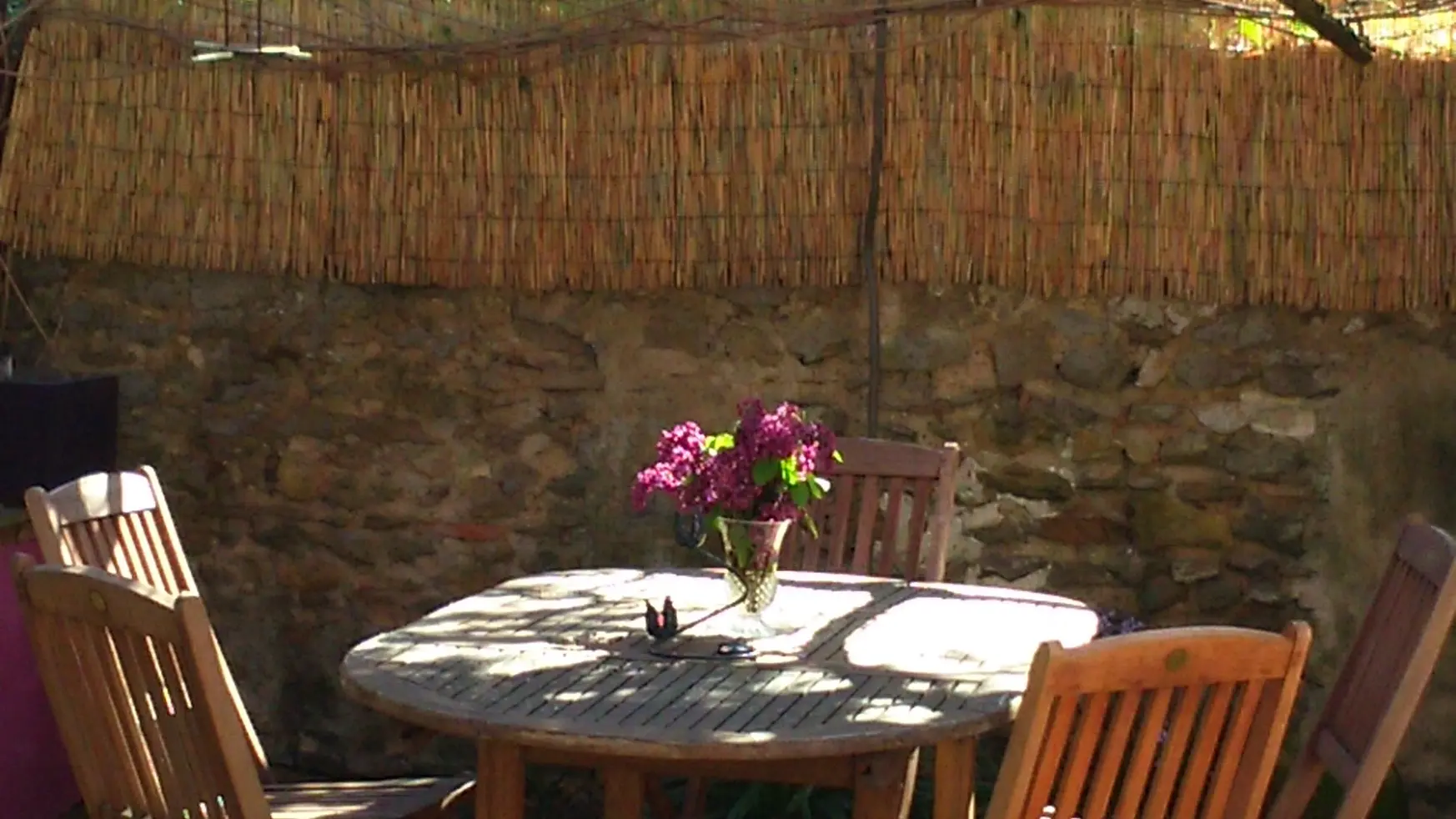 terrasse sous glycine fleurie