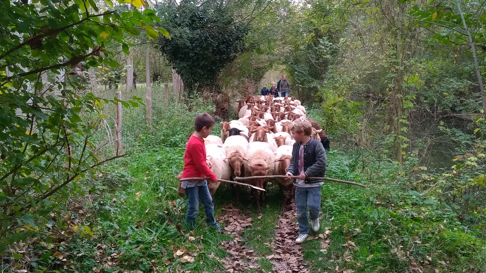 transhumance-LaFermeduMarais