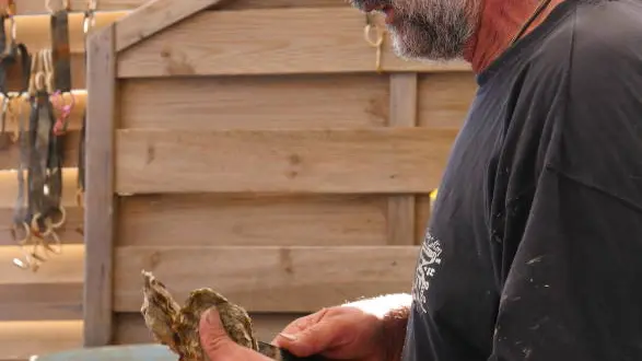 visite-huitres-degustation-talmont