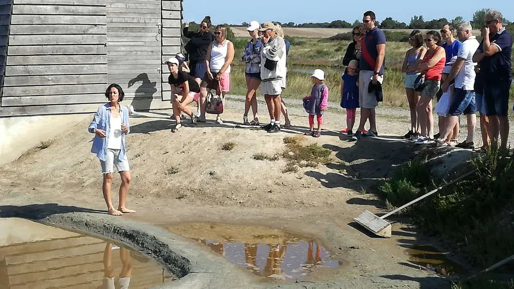 visite-marais-salants-talmont-sel