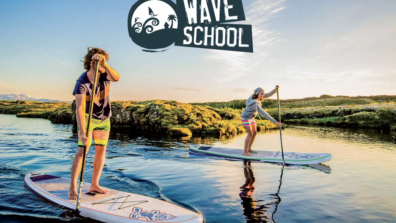 wave school (1)