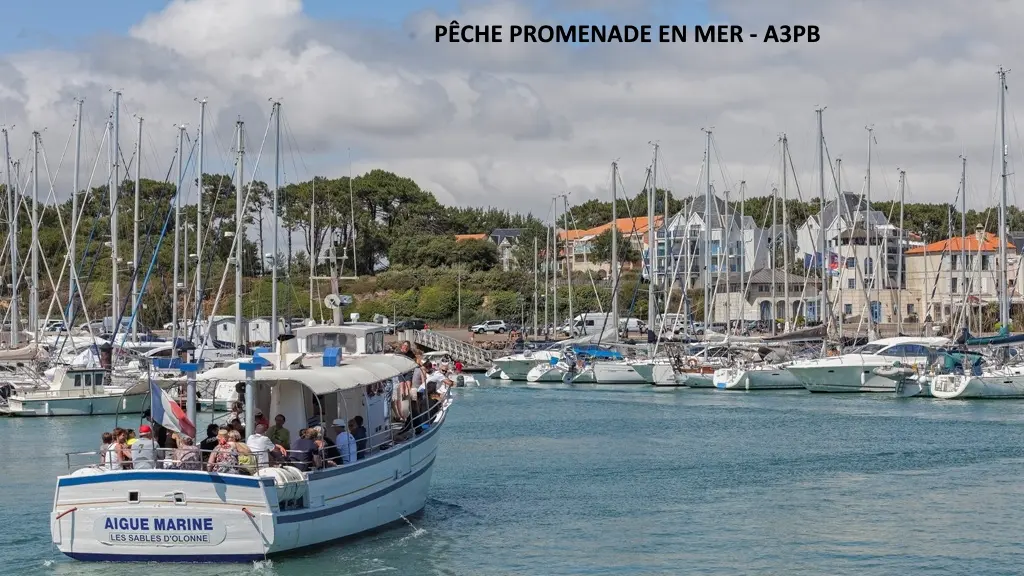A3PB-credit-photo-imprimerie-de-la-Sevre-Niort--1-