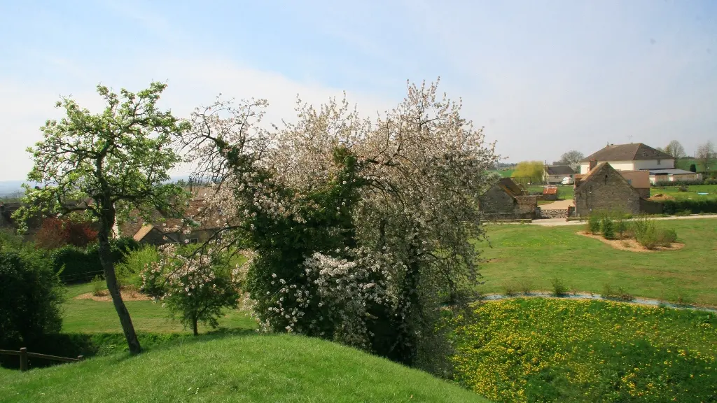 Motte-Féodale-Assé-le-Boisne-72-PCU-2