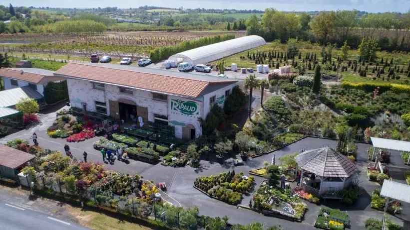 Balade au cœur des Pépinières Ripaud 2