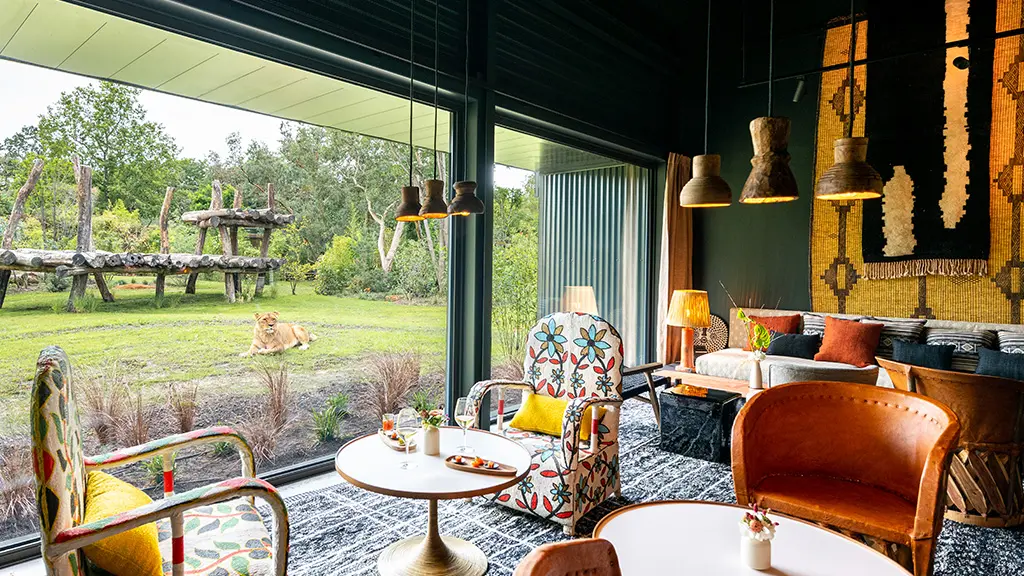 Bar lounge_lionne_Safari suite_Zoo de la Flèche