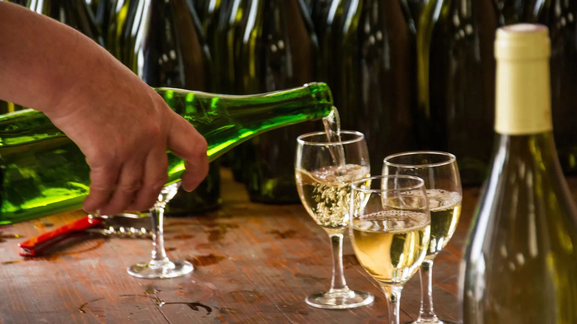 BoulayOTVL2015@stevanLIRA-11