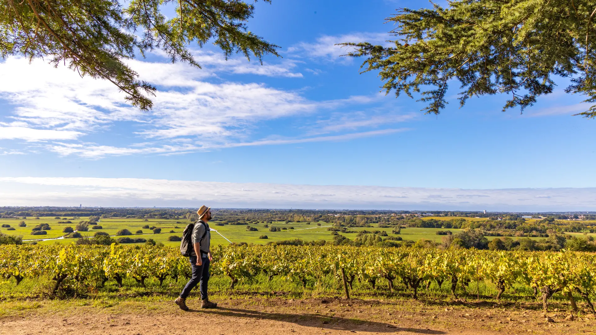 Butte de la roche le loroux bottereau vignoble de nantes tourisme credit Solutions et co -clo et clem jusque 2026