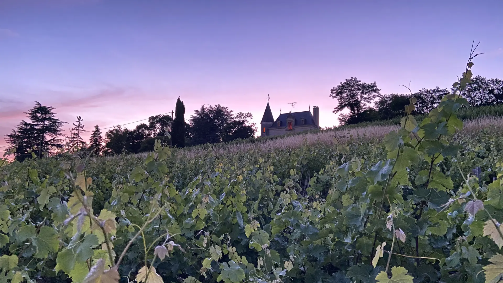 Le Petit Château des Tuffières_Lhomme