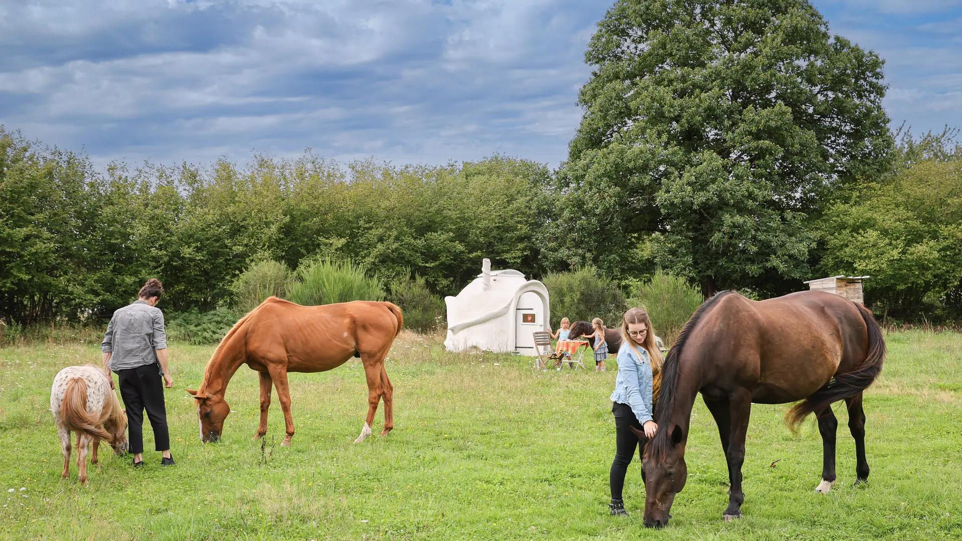 Au domaine des pierres jumelles - Doma et Chevaux