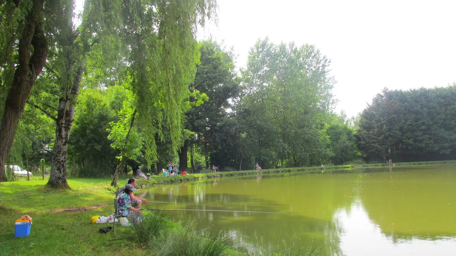 Camping de la Jamoniere (Étang)