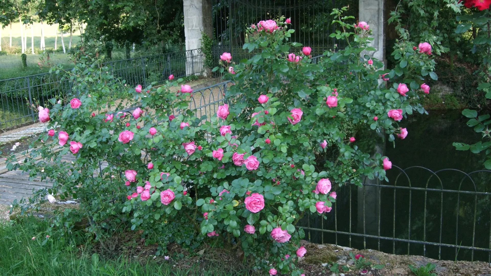 Chateau du paty_Chenu (15)