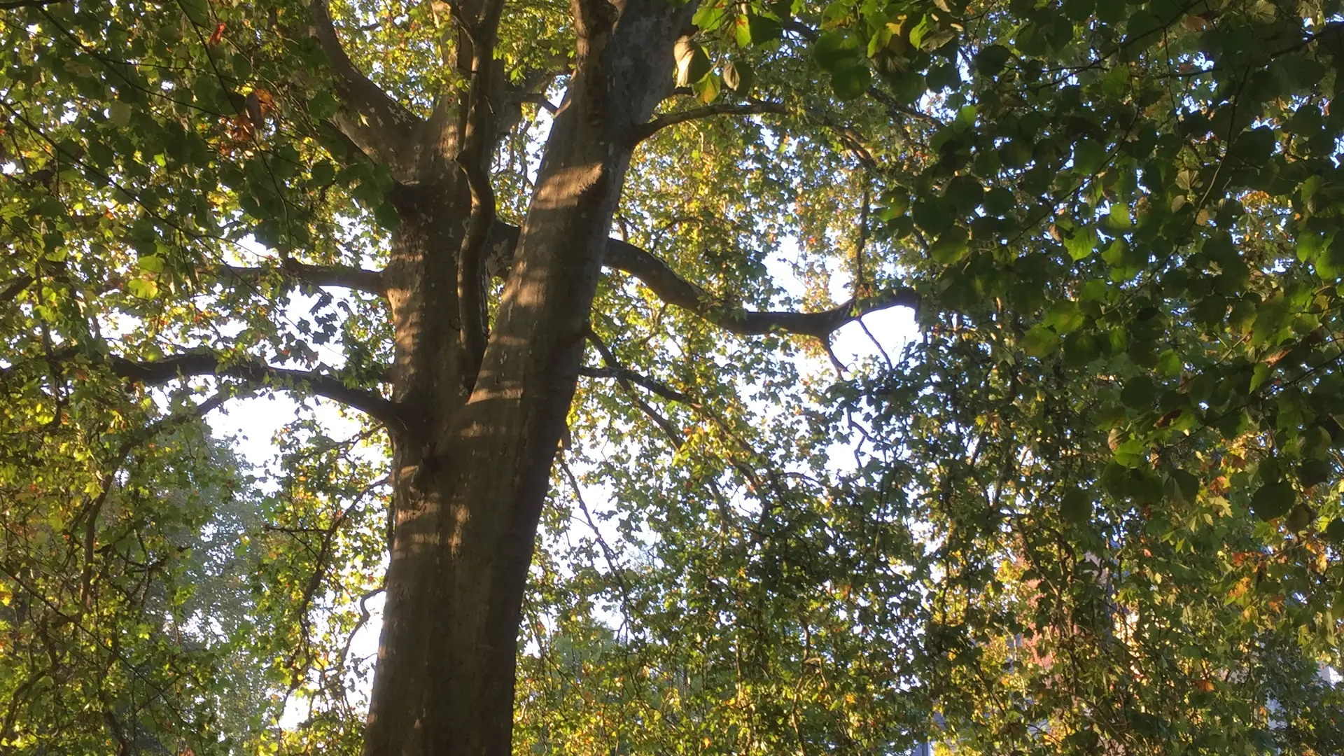 Chateau du paty_Chenu (5)