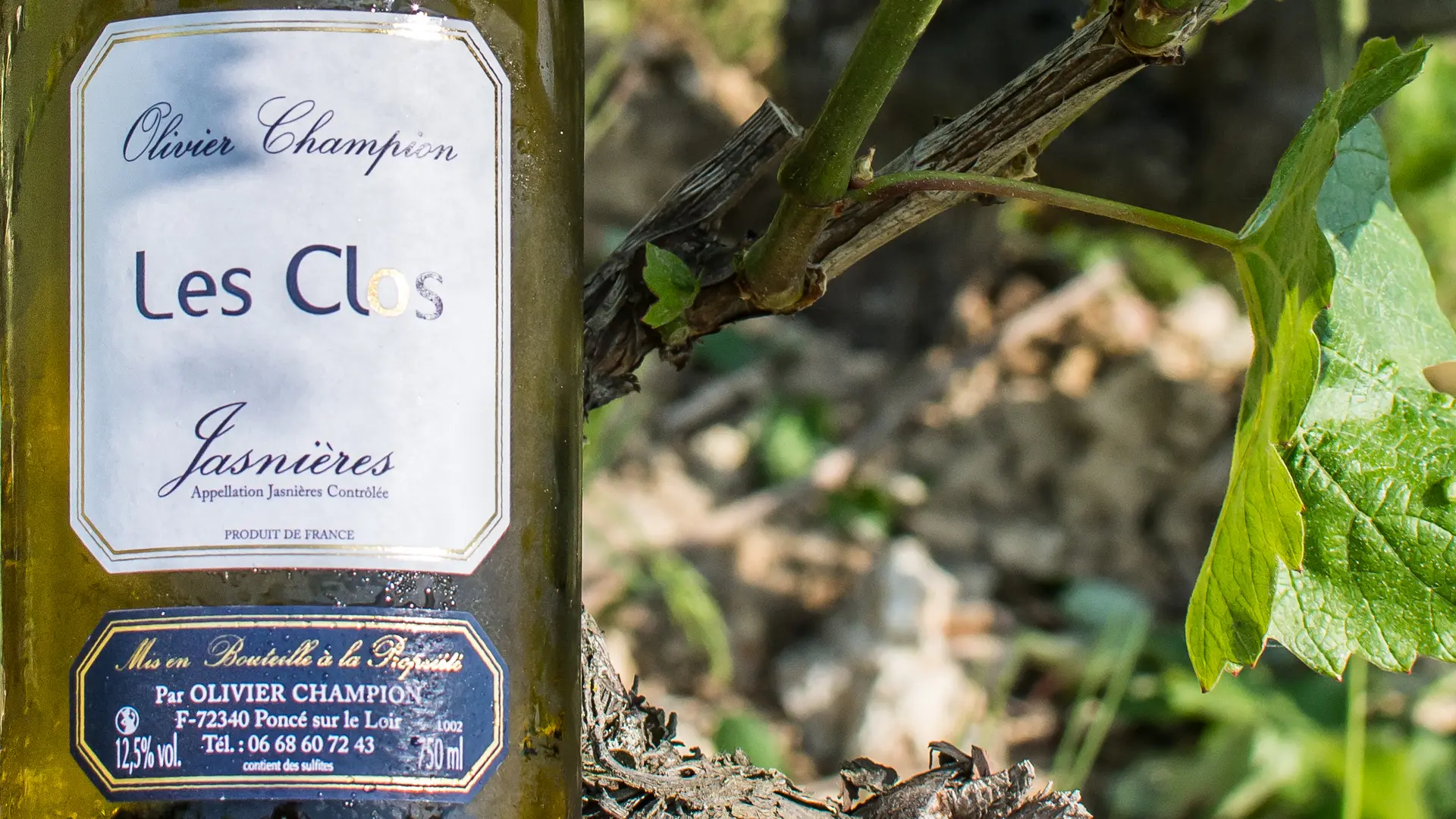 Olivier Champion_Poncé sur le Loir