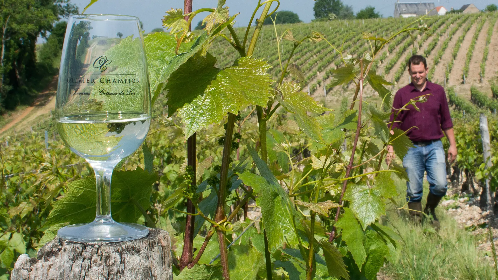 Olivier Champion_Poncé sur le Loir