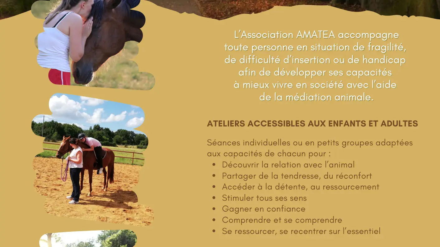 Cheval Nature et Médiation