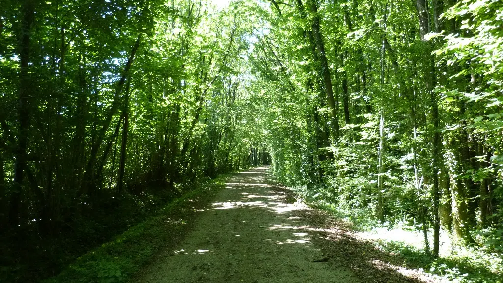 Chemin de la Mine - Faymoreau