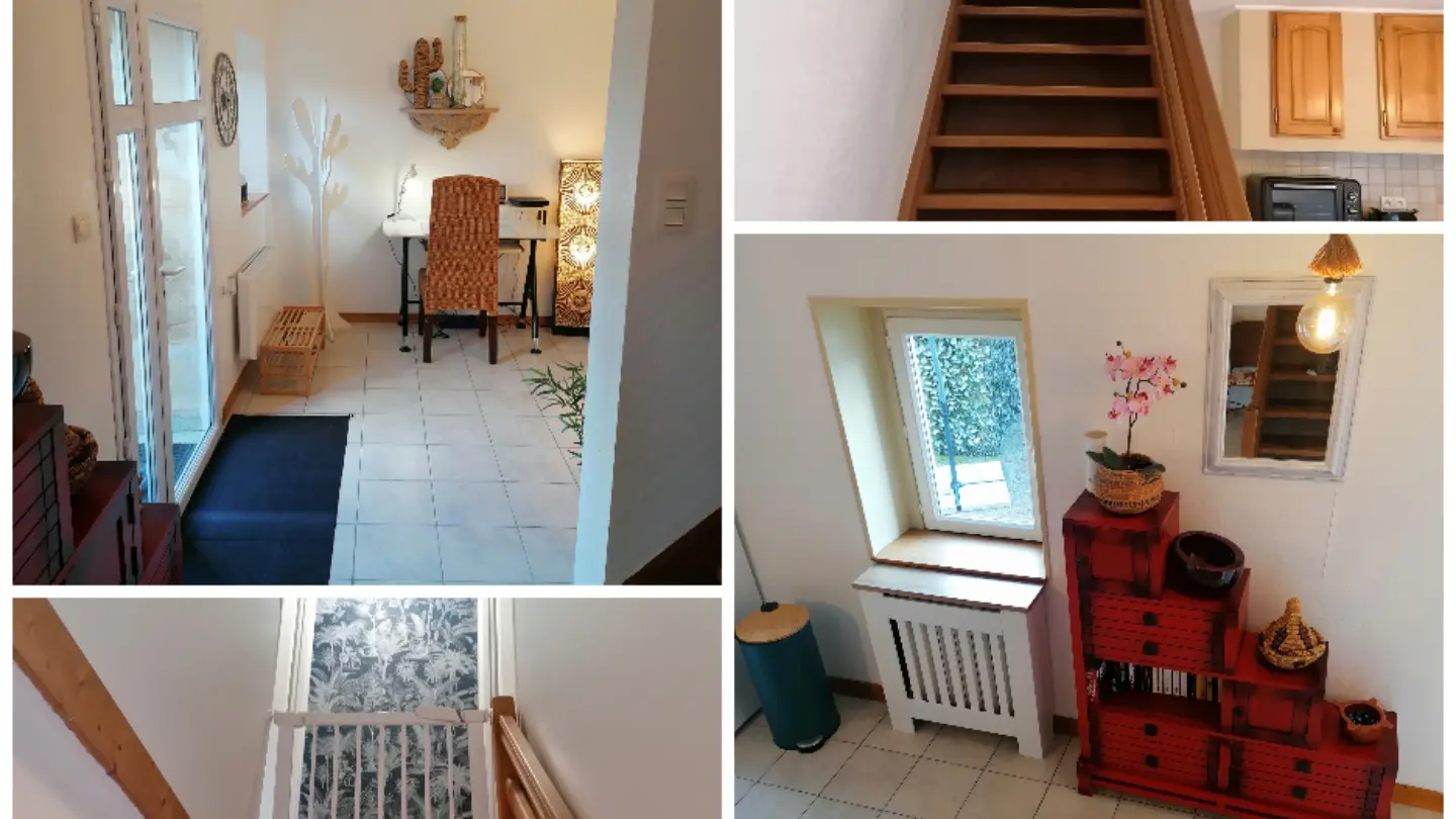 Collage_20250313_211516[1]
