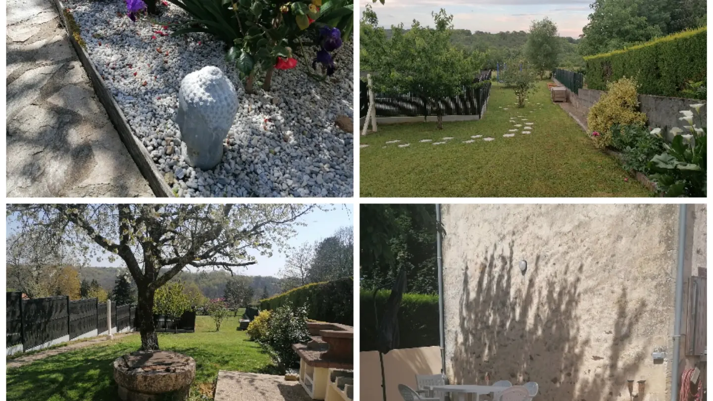 Collage_20250325_101239[1]