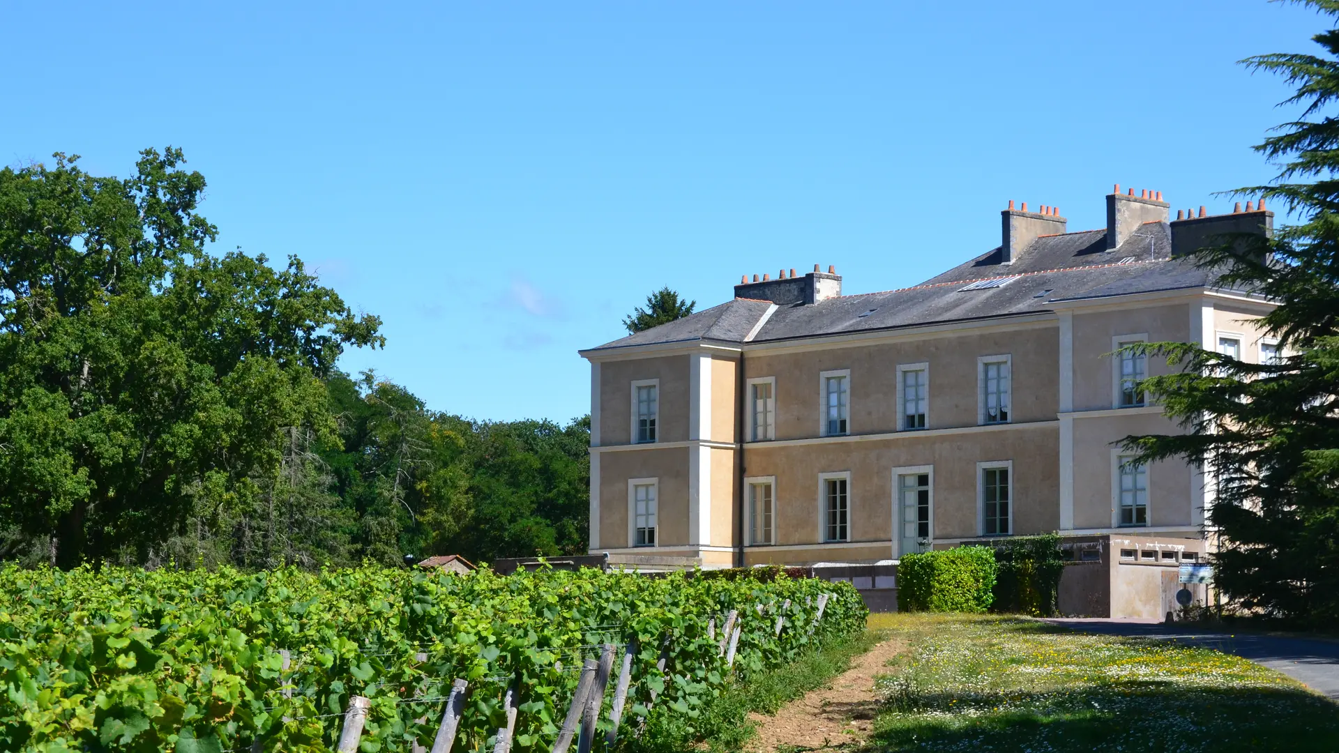 Façade côté vignes