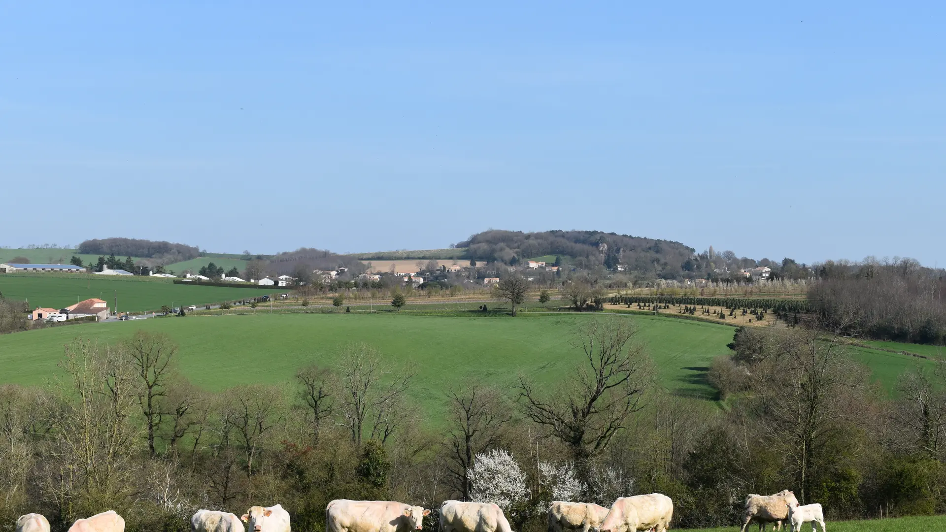campagne au Pays de la Châtaigneraie