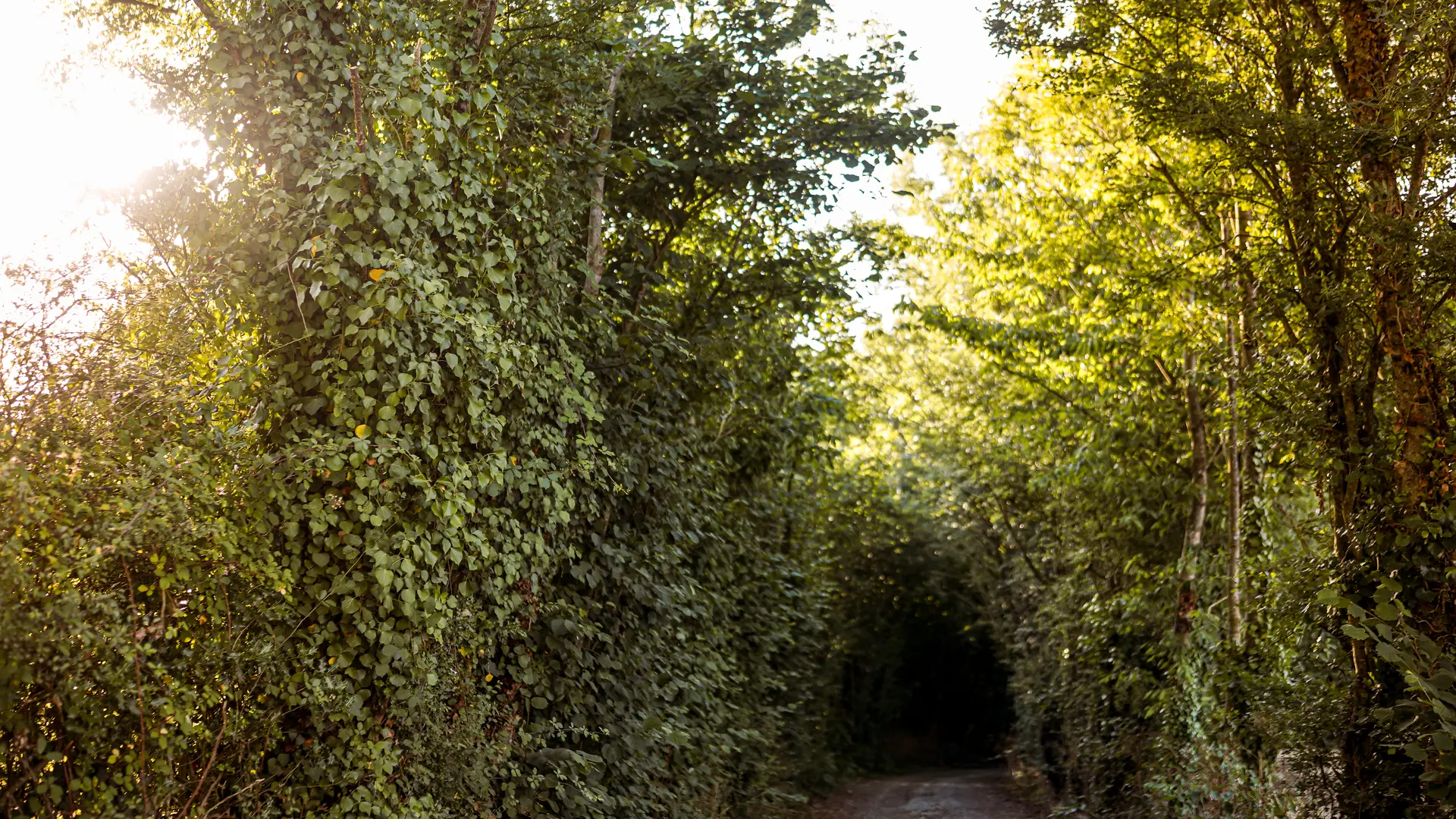 Chemin d'accès plan d'eau