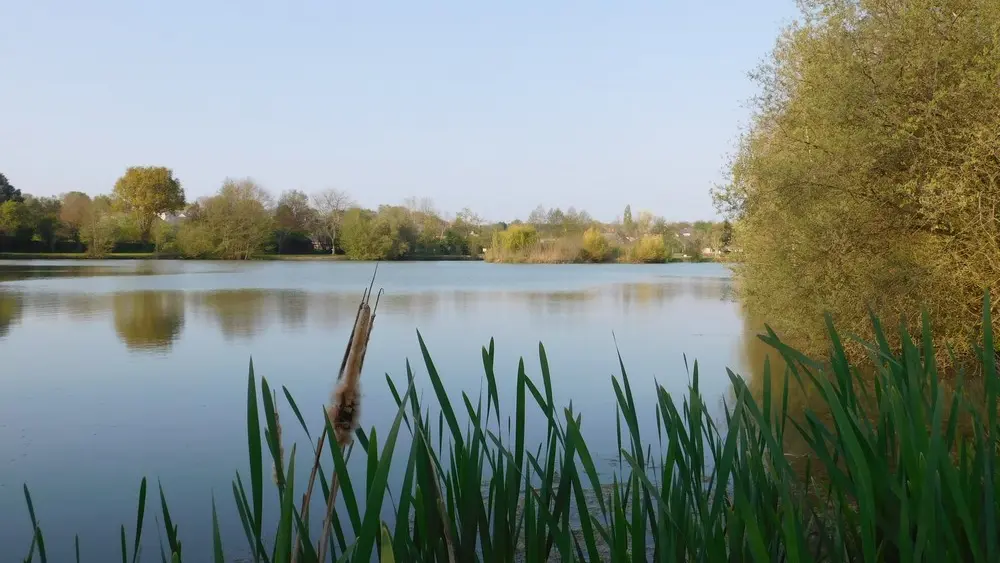 Plan d'eau du Daviers < VVNJ < Bouère < Mayenne