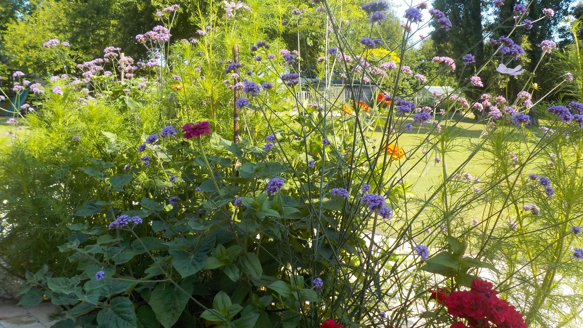 Gîte Pic Epeiche_Mouliln de la Diversière_Savigné sous le Lude