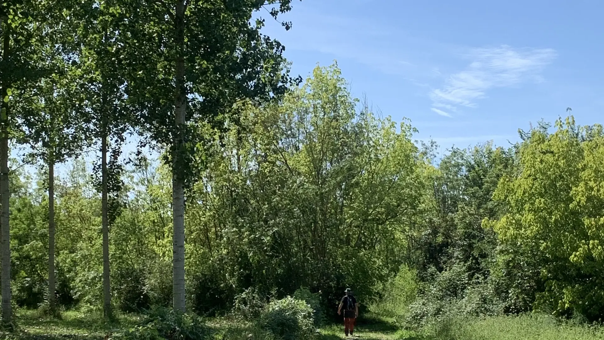 Damvix-les-rainettes_rando-ped_OTVGSud_