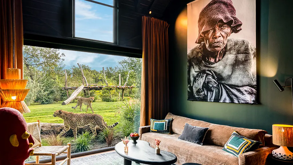 Deluxe_Guépards_Safari suite_Zoo de la Flèche