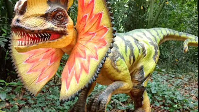 Dino
