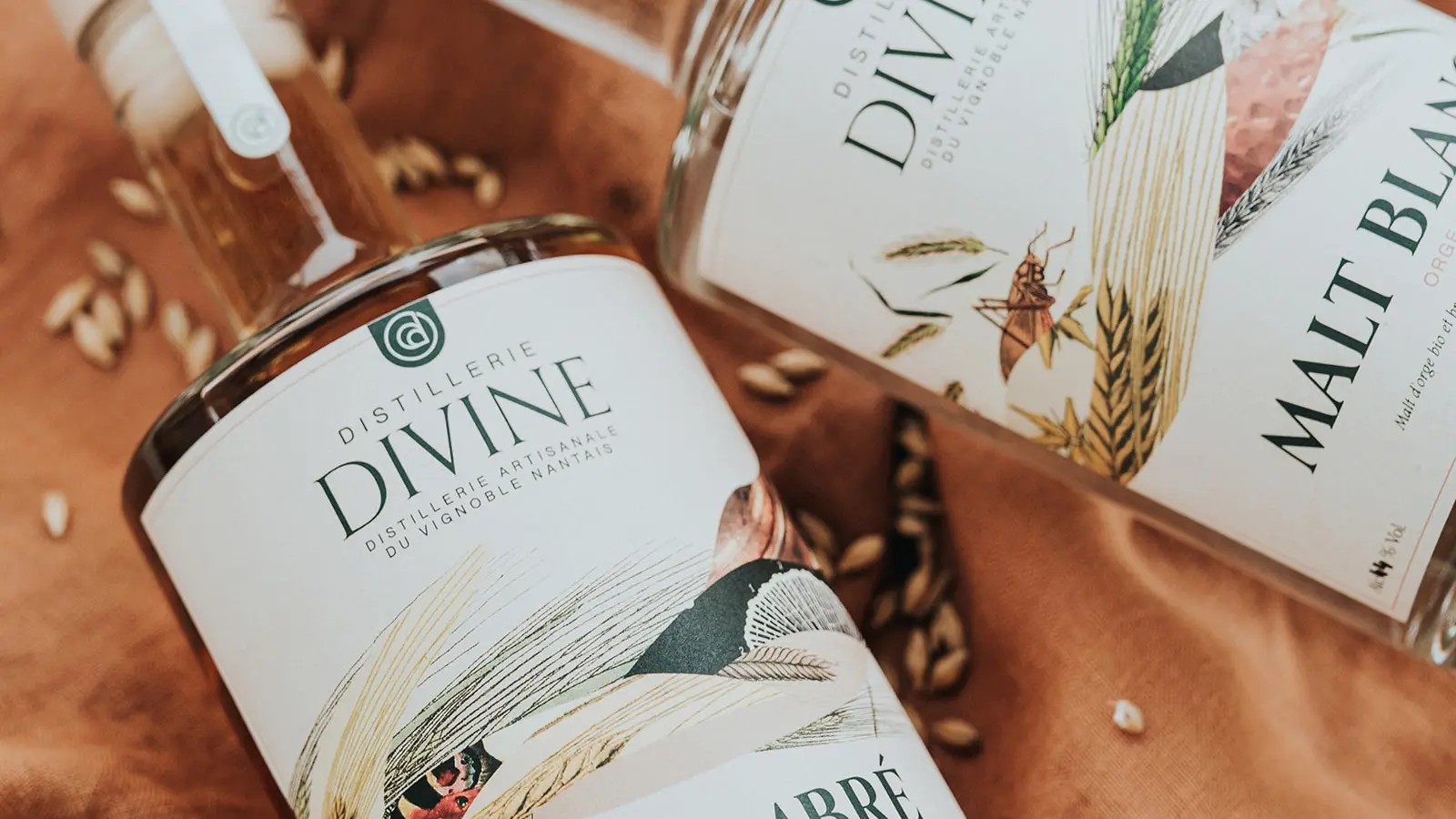 Distillerie-Divine-Delphine-Saliou-Carre-09679