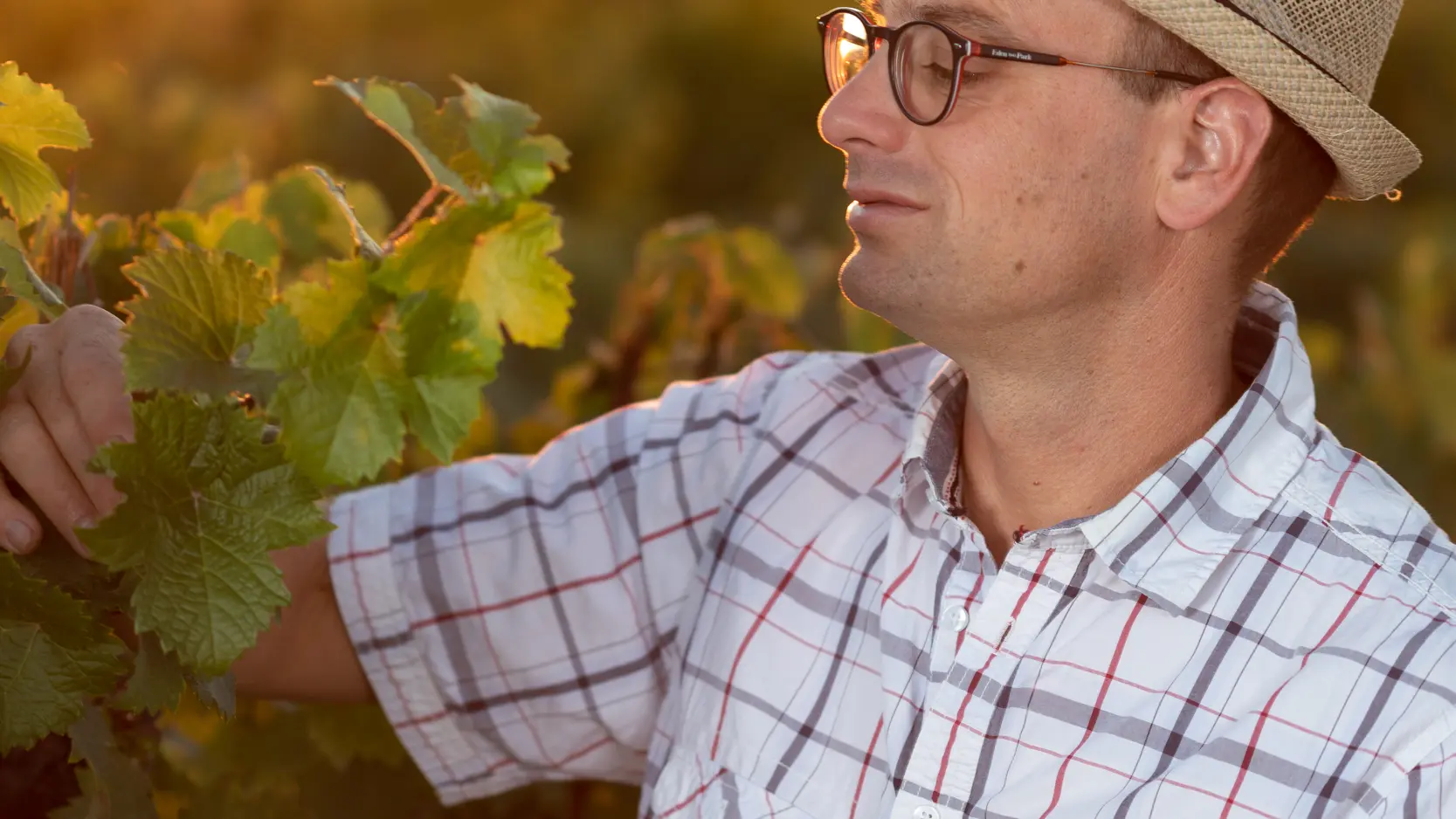 Domaine_de_Cézin-11