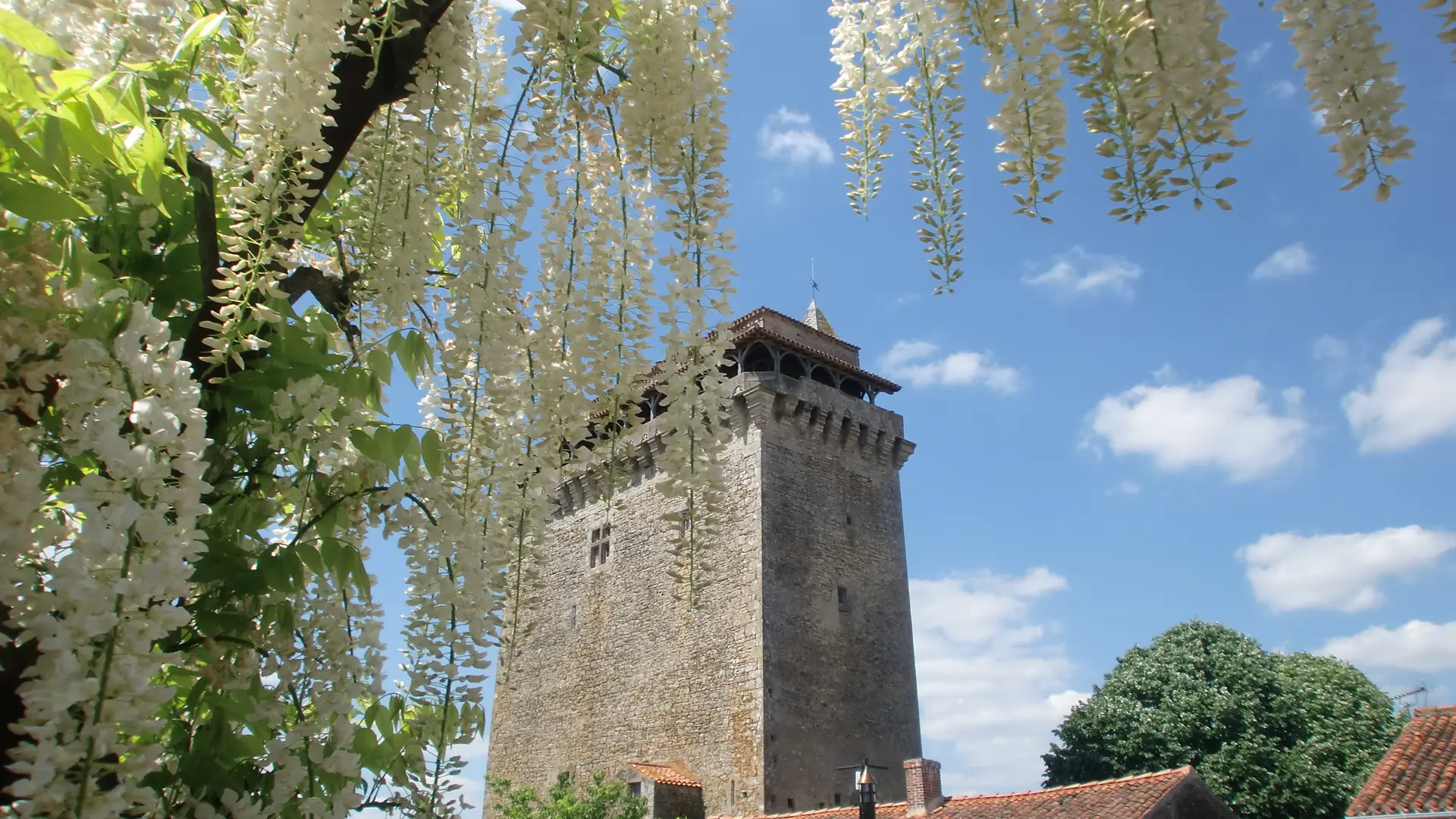 Donjon de Bazoges en Pareds
