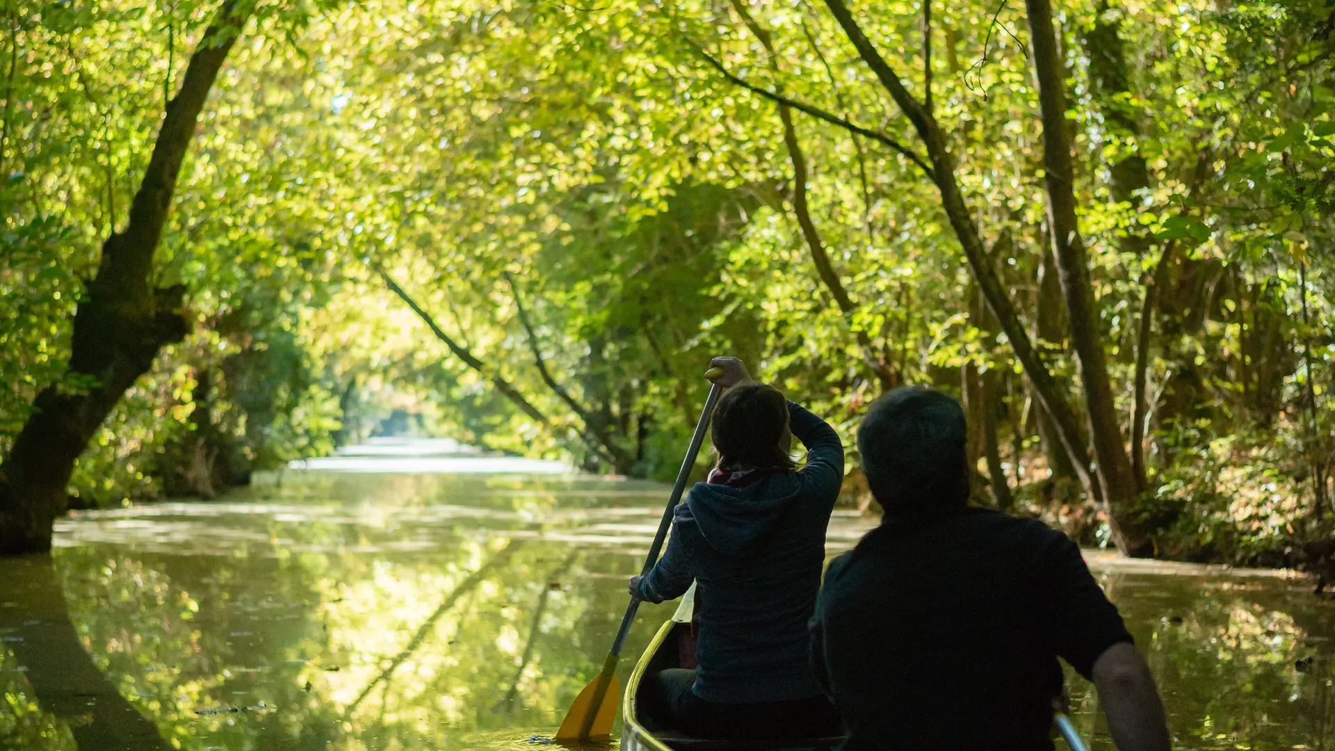 Marais poitevin 2018