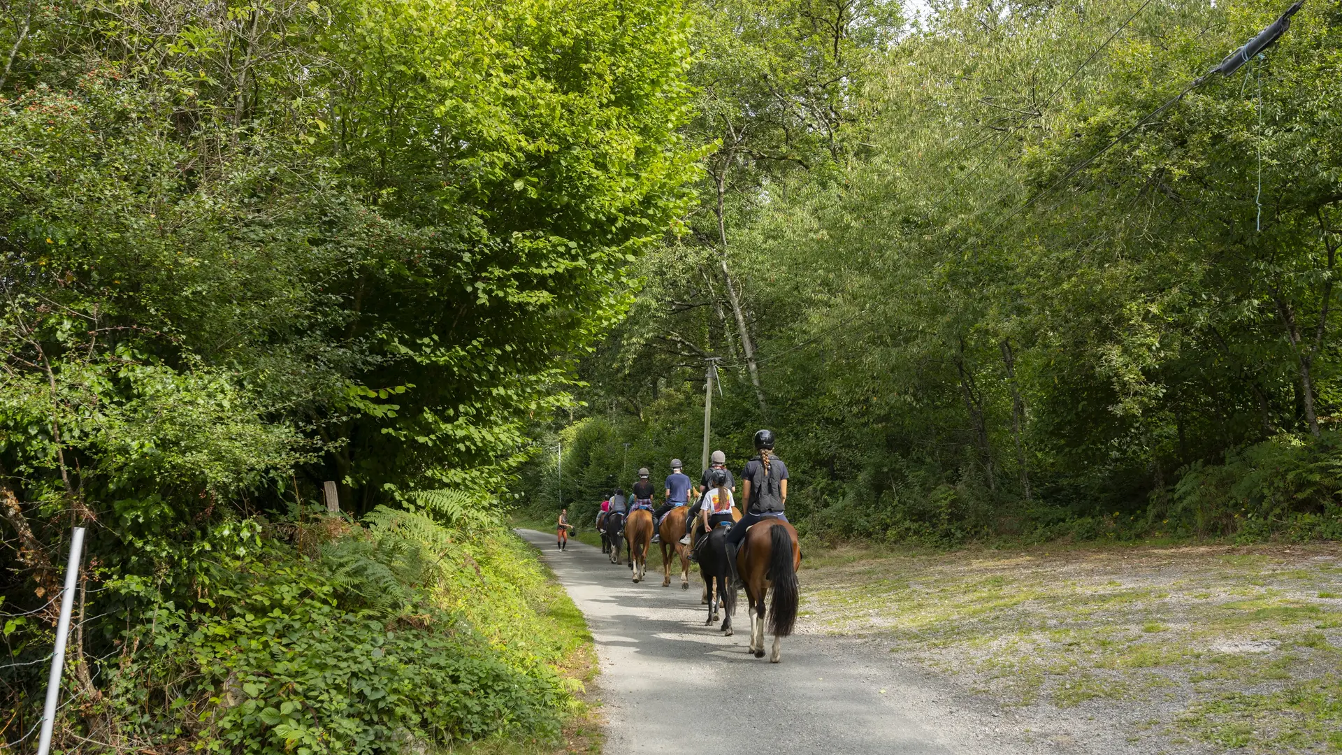 Équitation dans les Alpes Mancelles