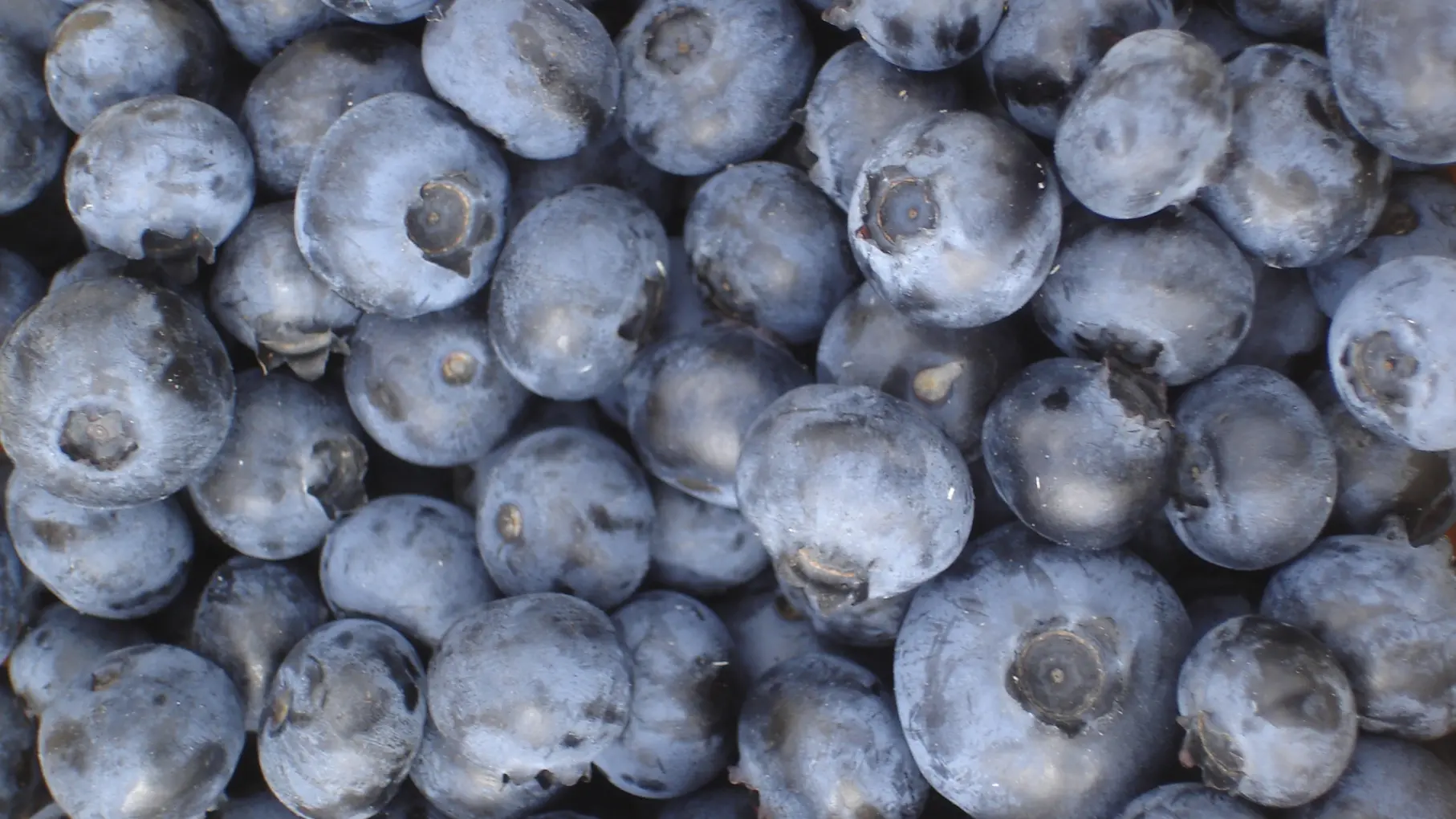 Ferme des Bleuts_Vaas