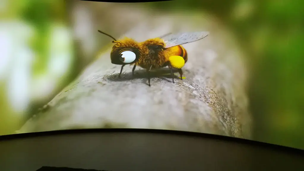 Folie-Finfarine-abeille