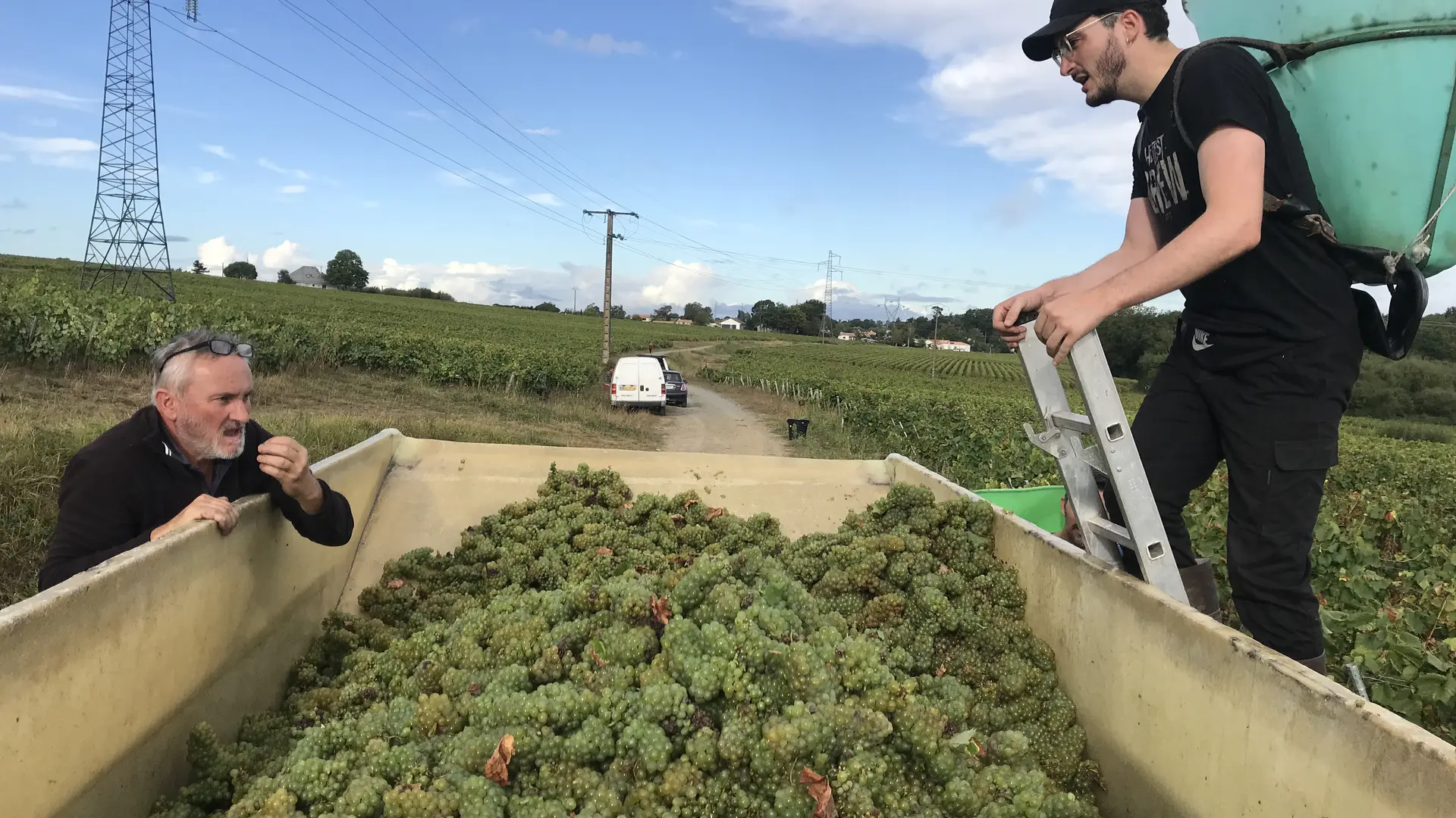 Gérard et Mathieu Vinet en vendanges