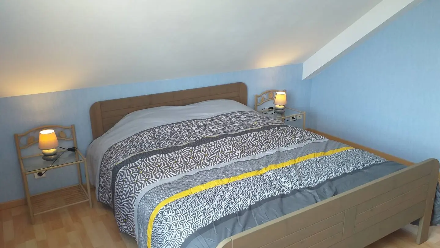 Gîte de l'Ire_Château du Loir