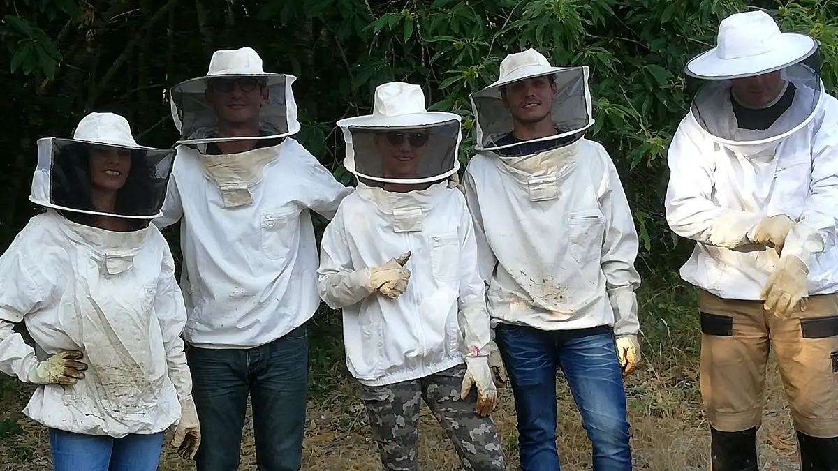 Groupe en visite sur les ruchers