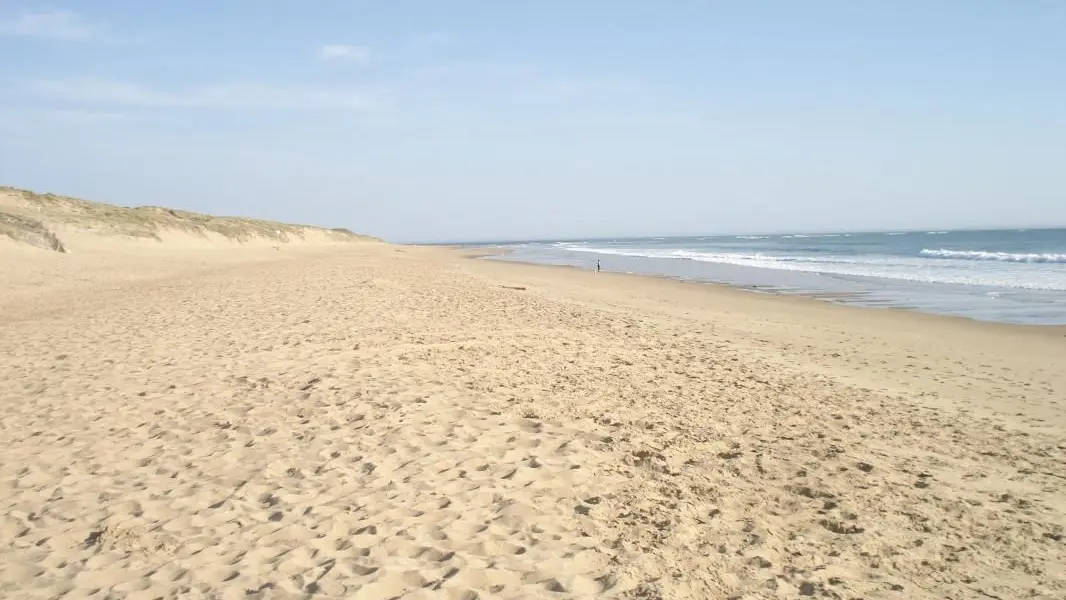 Plage de la Terrière, la plus proche, 1 km de la maison, très grande plage de sable fin_15