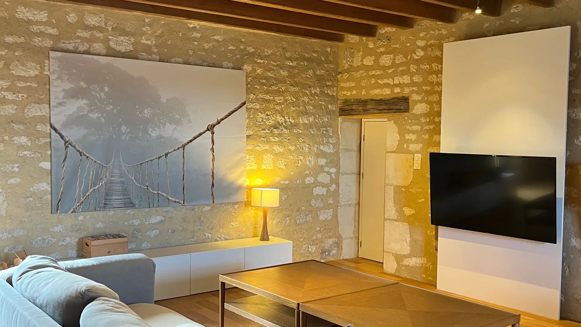 Salon / Living room_3