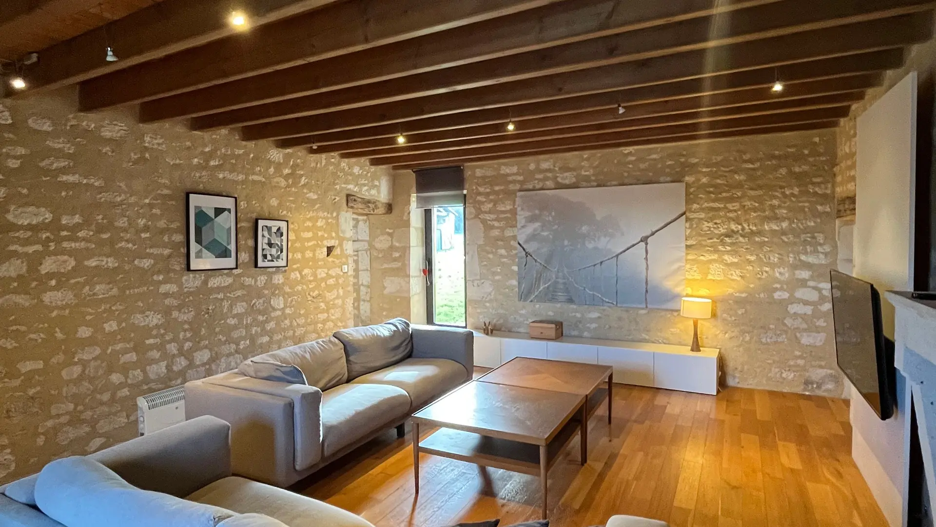 Salon / Living room_12