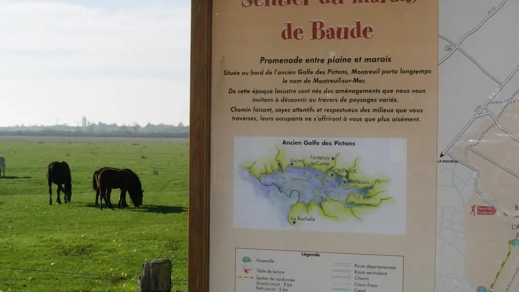 Départ de deux sentiers pédestres face au communal de 73 hectares de Baude_48