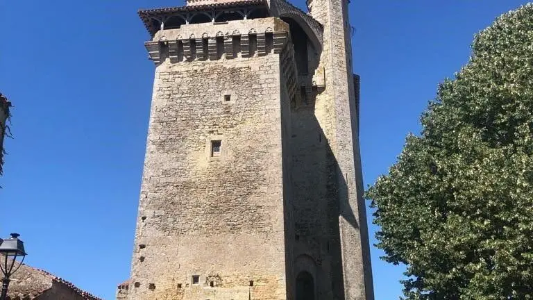 Donjon de Bazoges en Pareds_18