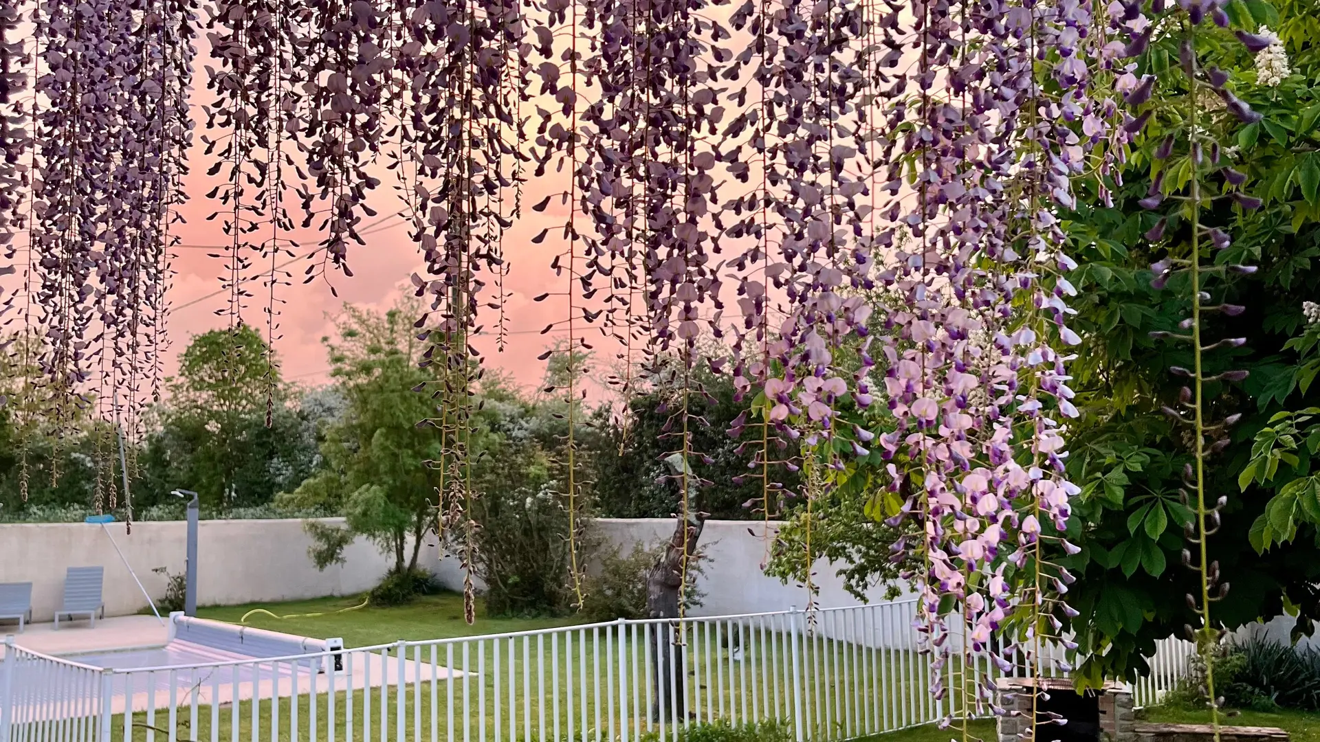 Piscine vue du jardin_50