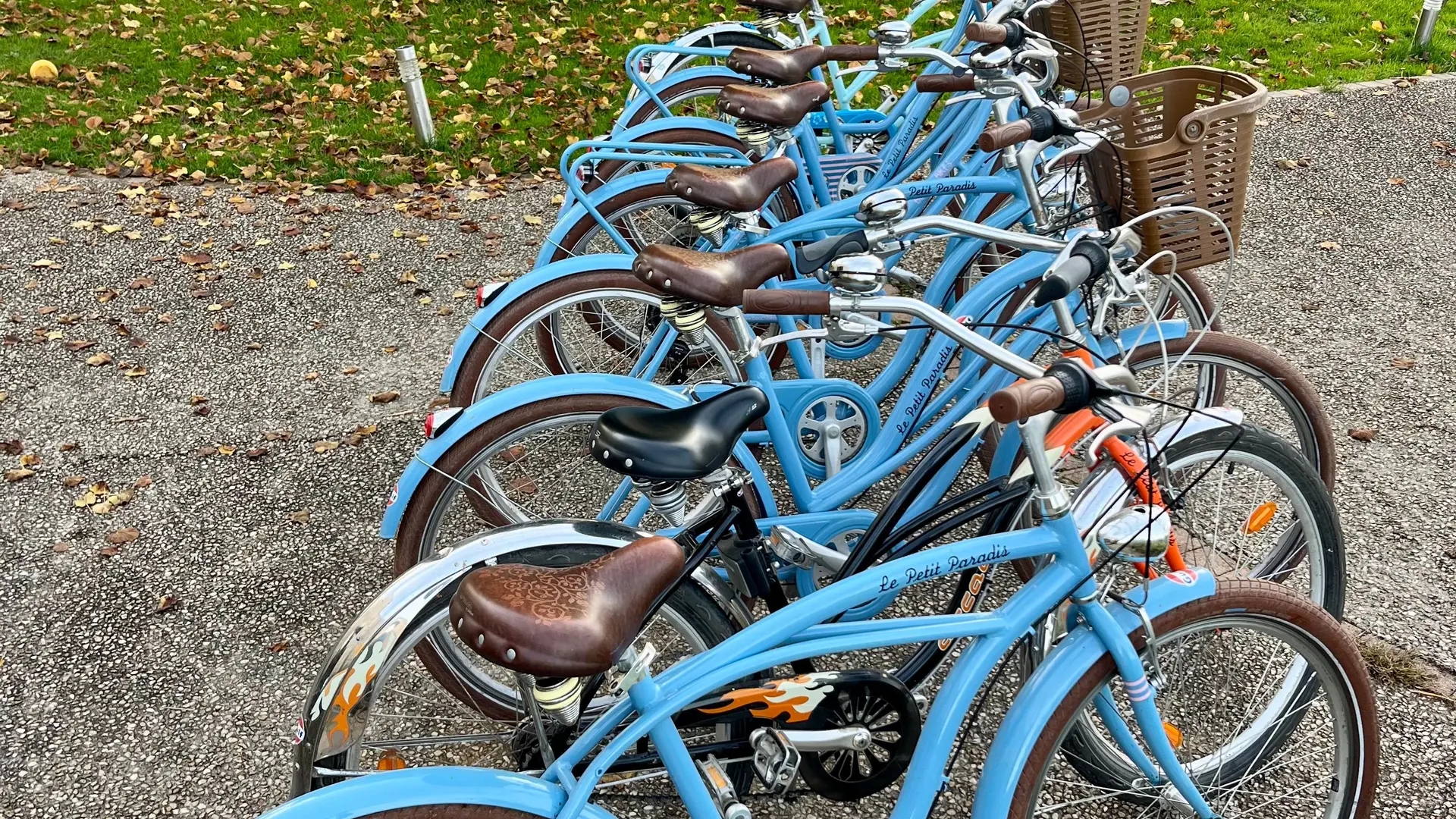 Prêt de vélos adulte_50