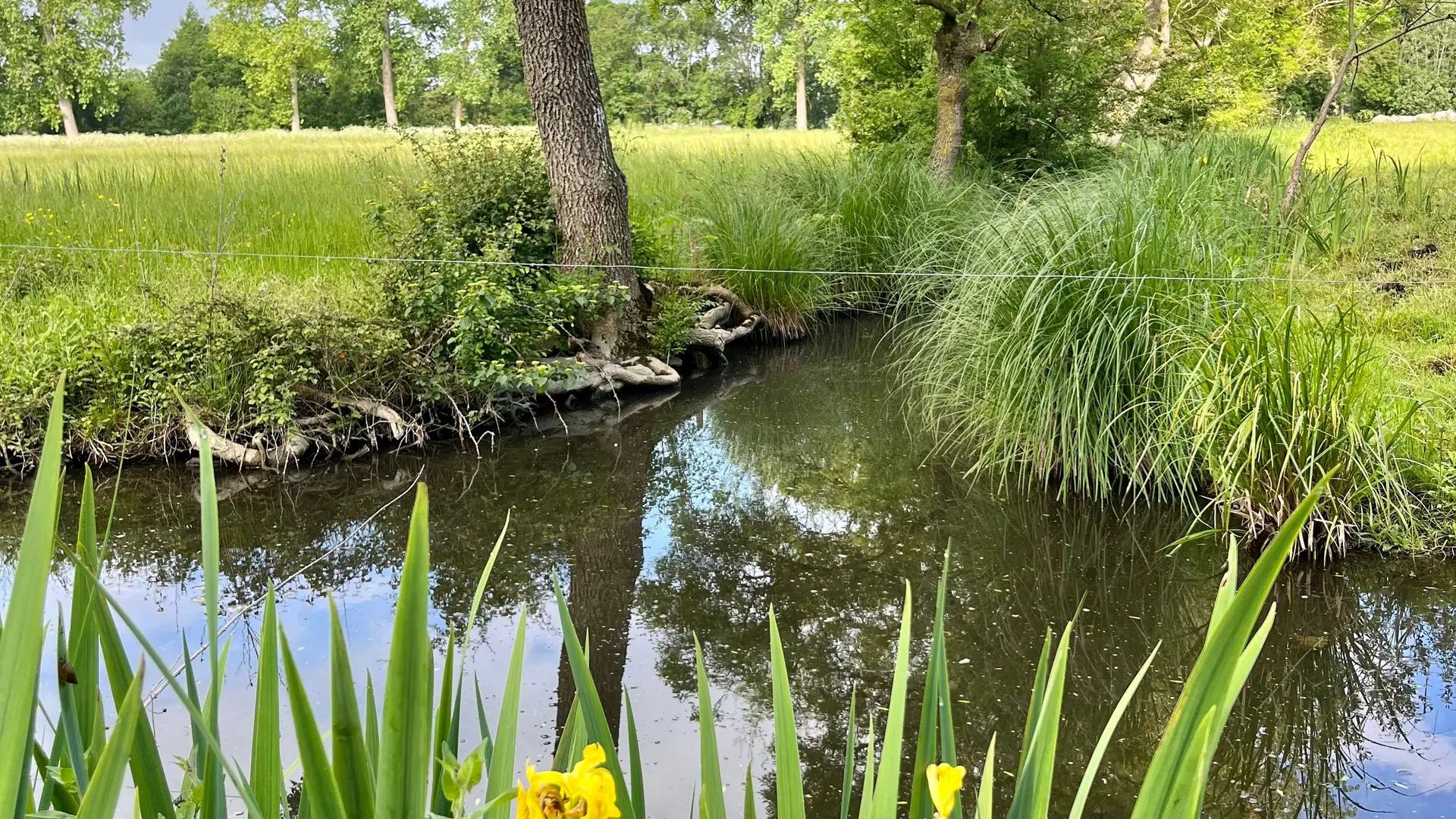 Marais Poitevin_31