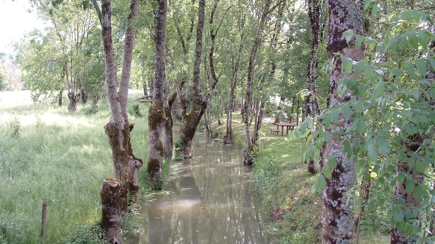 Le marais poitevin_23